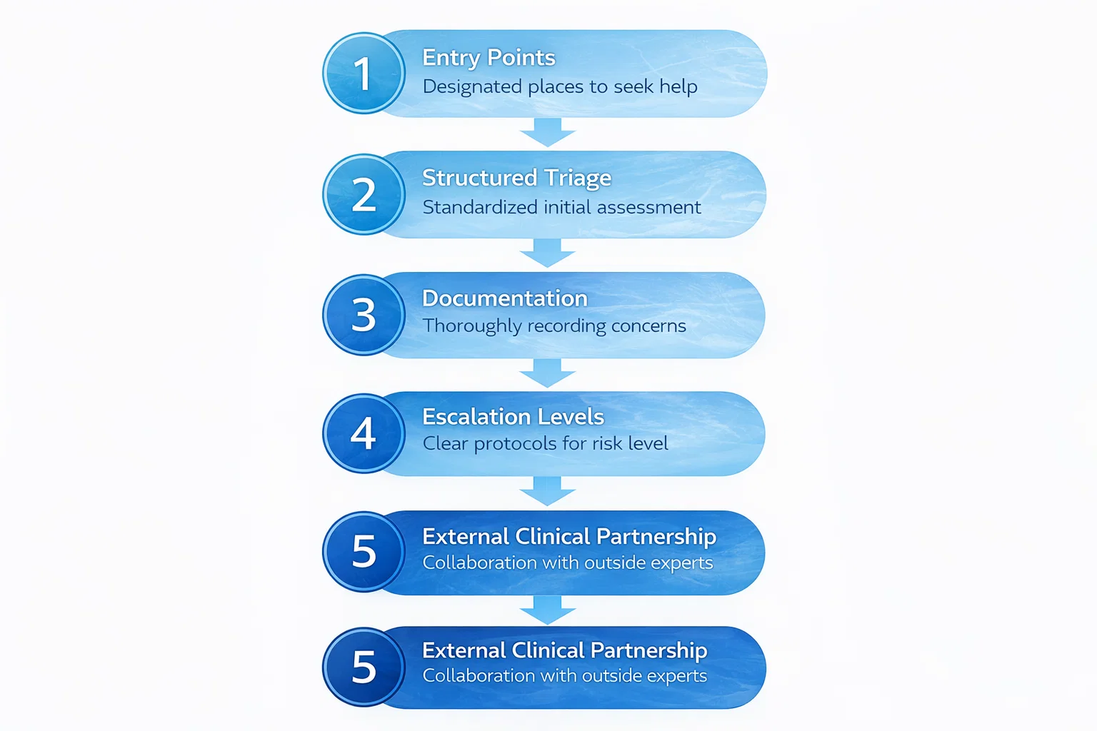 Flowchart showing the five components of an effective mental health referral pathway in international schools. CALM International.
